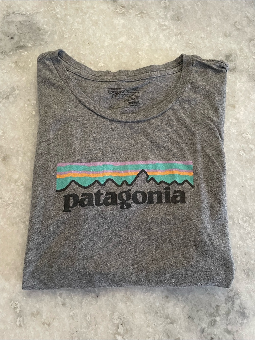 Patagonia Logo Organic T-shirt